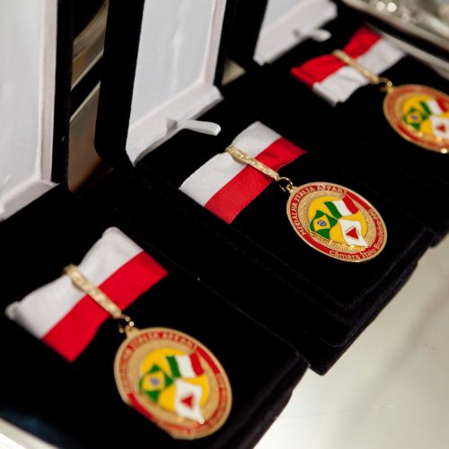 2013 Medalha Italia Affari 2013 (2)